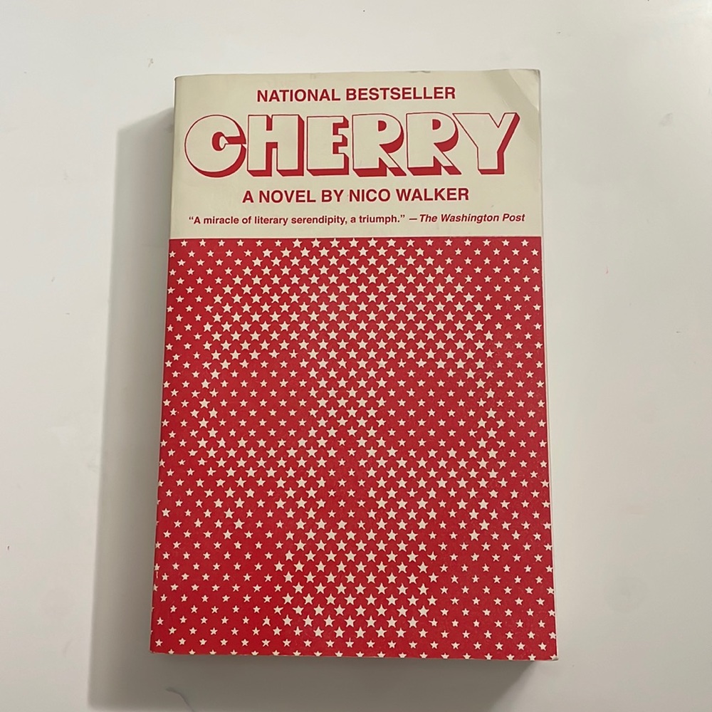 Cherry by Nico Walker